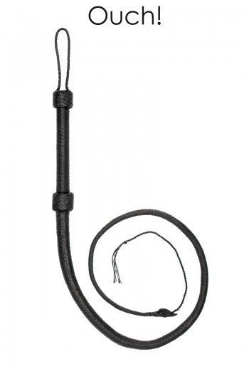Bullwhip | Ouch!