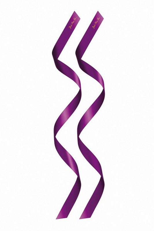 Liens BDSM en satin pourpre | Sweet Caress | Sweet Caress