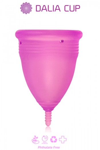 Dalia Cup  | Dalia