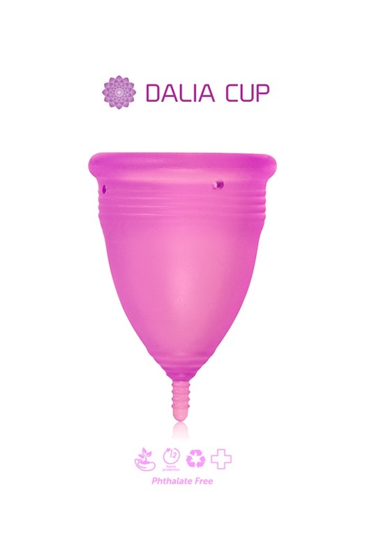 Dalia Cup  | Dalia