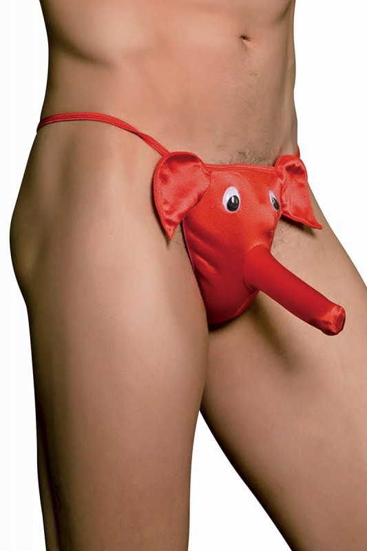 cache sexe éléphant | Paris Hollywood