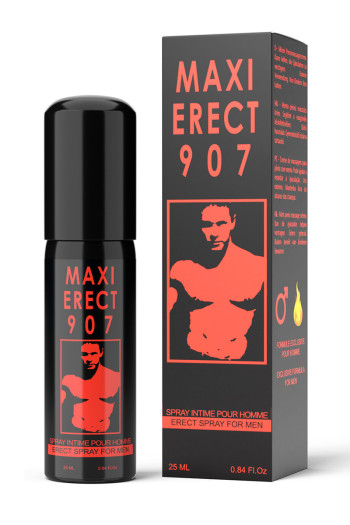 Maxi Erect 907 2