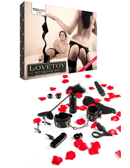 Lovetoy starter kit Lovetoy starter kit