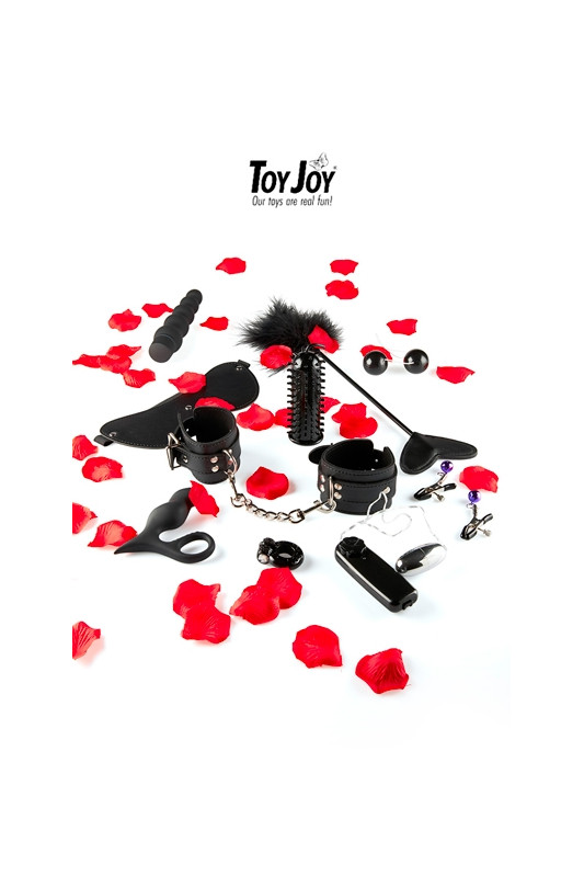 Lovetoy starter kit