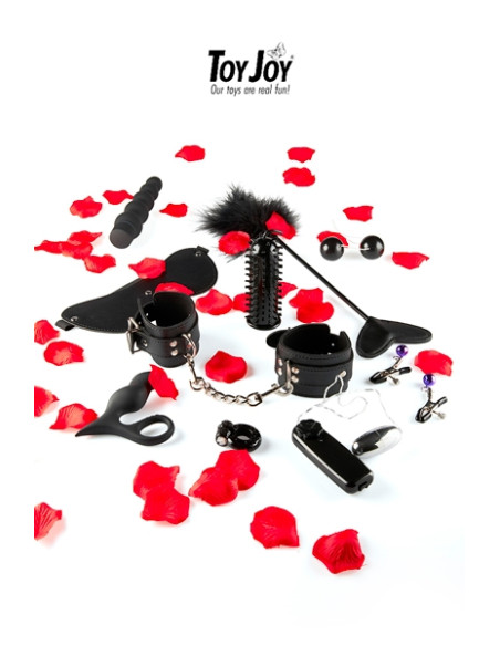 Lovetoy starter kit Lovetoy starter kit